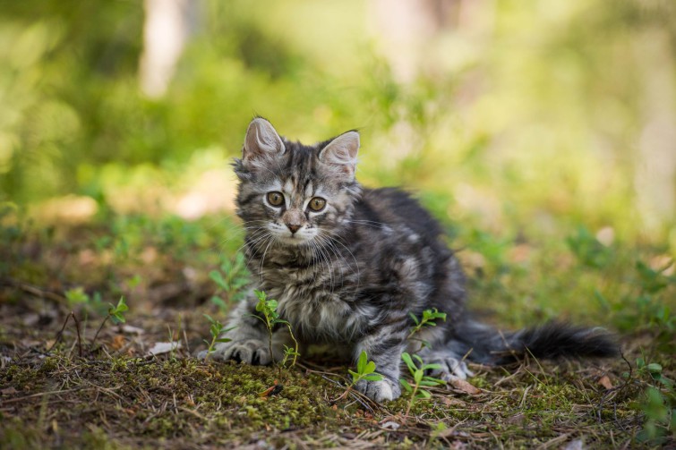 13616183_511363572382299_224418955_o