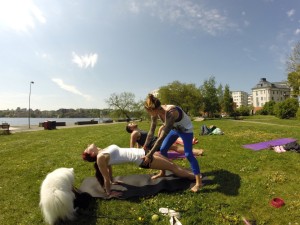 Justeringar i tyngre positioner; här Purvottanasana.