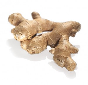 kn_pfl_ein_ingwer_kno003_470_07_14034913-300x289