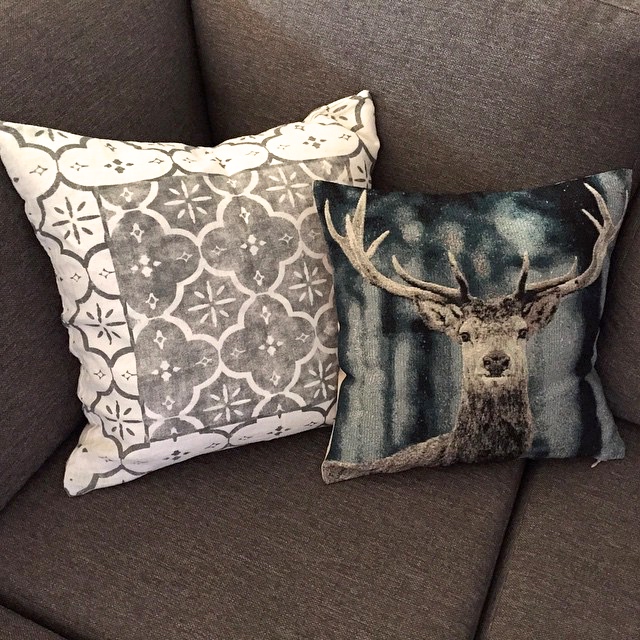 10428053_10153042301739228_5092502769554807753_n