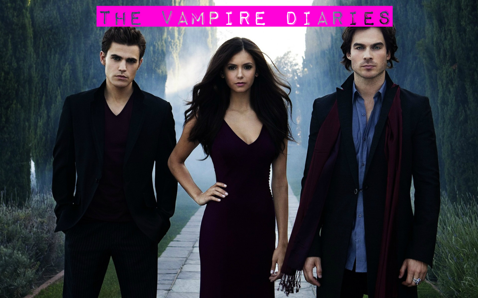 tvd