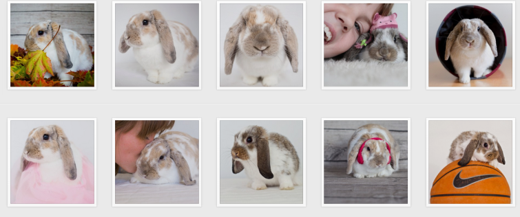 Skärmavbild 2014-09-27 kl. 20.30.07