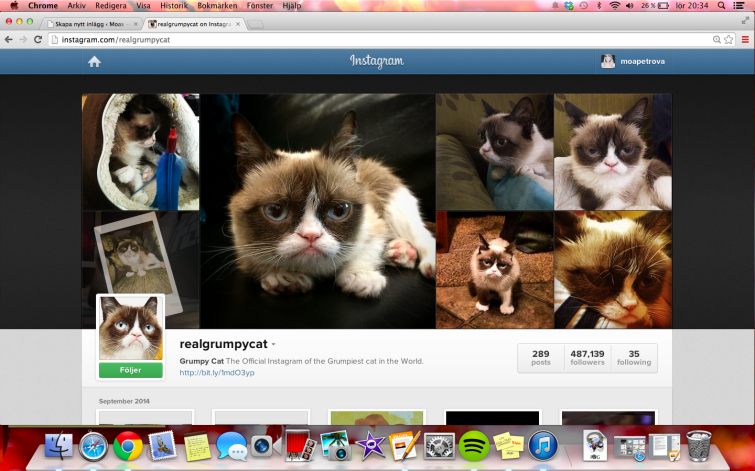 Skärmavbild 2014-09-27 kl. 20.34.25