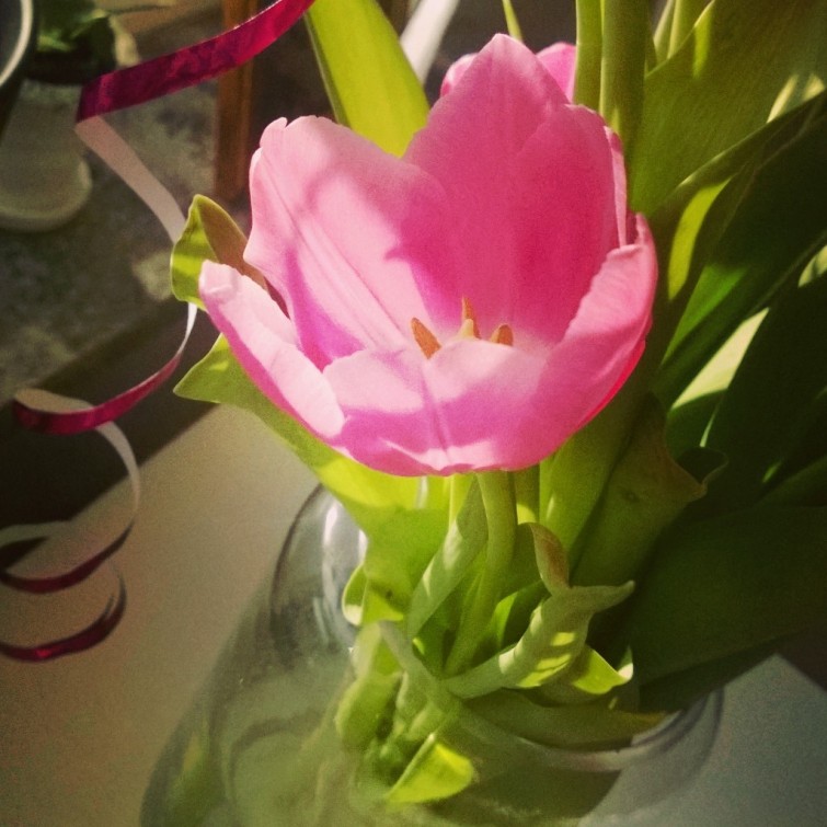 InstagramCapture_34f412b2-a7bb-40f3-9f84-23291d159814_jpg