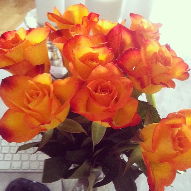 969971_10152003037581290_43557405608931912_n