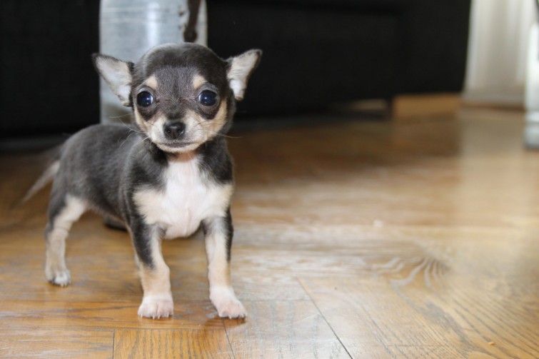 220137_10150164757256290_6954872_o