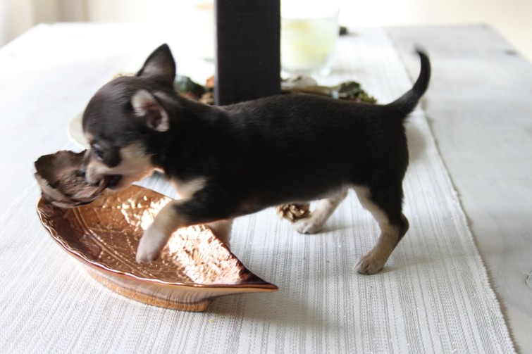 221000_10150164759216290_5119122_o