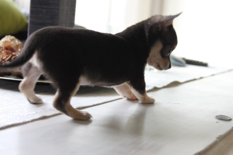 221000_10150164759226290_337049_o