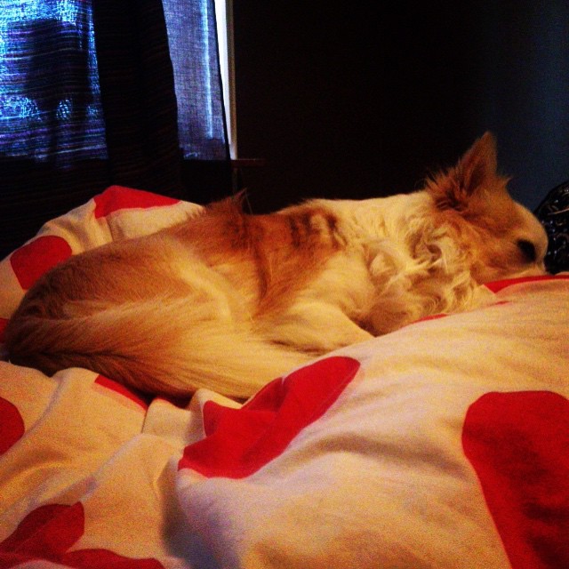 16juni_5592d8f9ddf2b34c4f8a7966