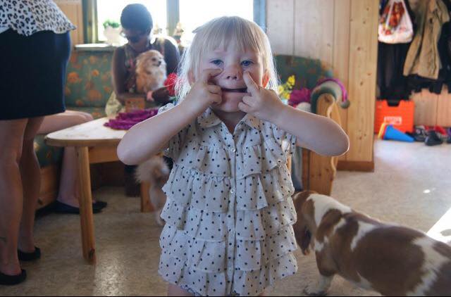 midsommar8_5592da90ddf2b34cca16018f