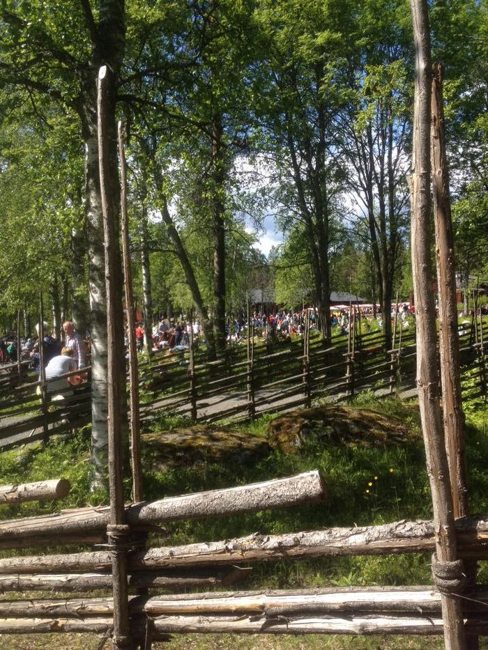 midsommar_5592da8b9606ee14a8e14276