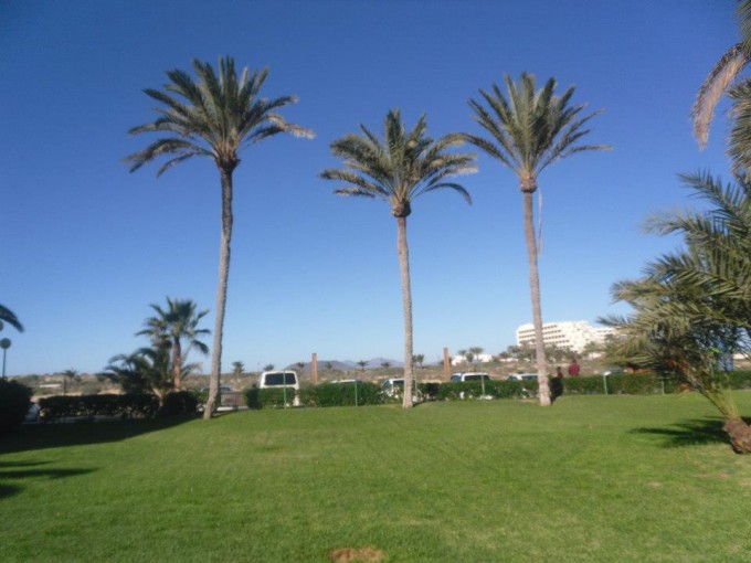 526641_10151287545875924_773148775_n