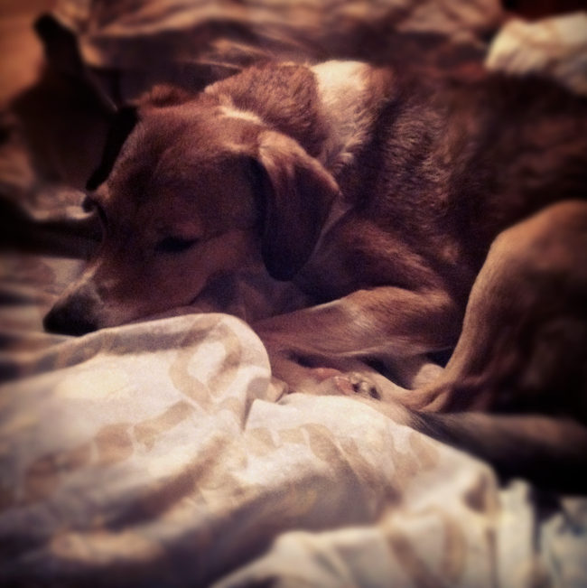 Skärmavbild 2012-03-22 kl. 09.39.03