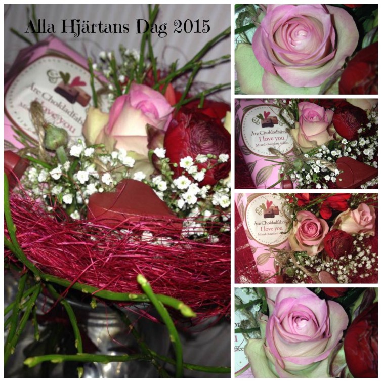 PicMonkey Collagevalentin