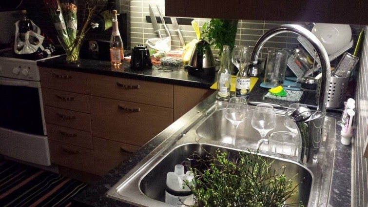 11132119_10204954447399075_1985083434_n