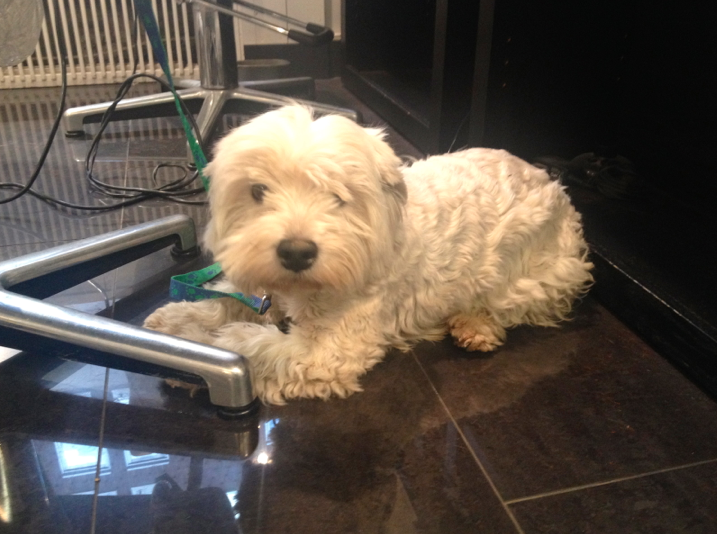 Skärmavbild 2013-10-25 kl. 08.03.54