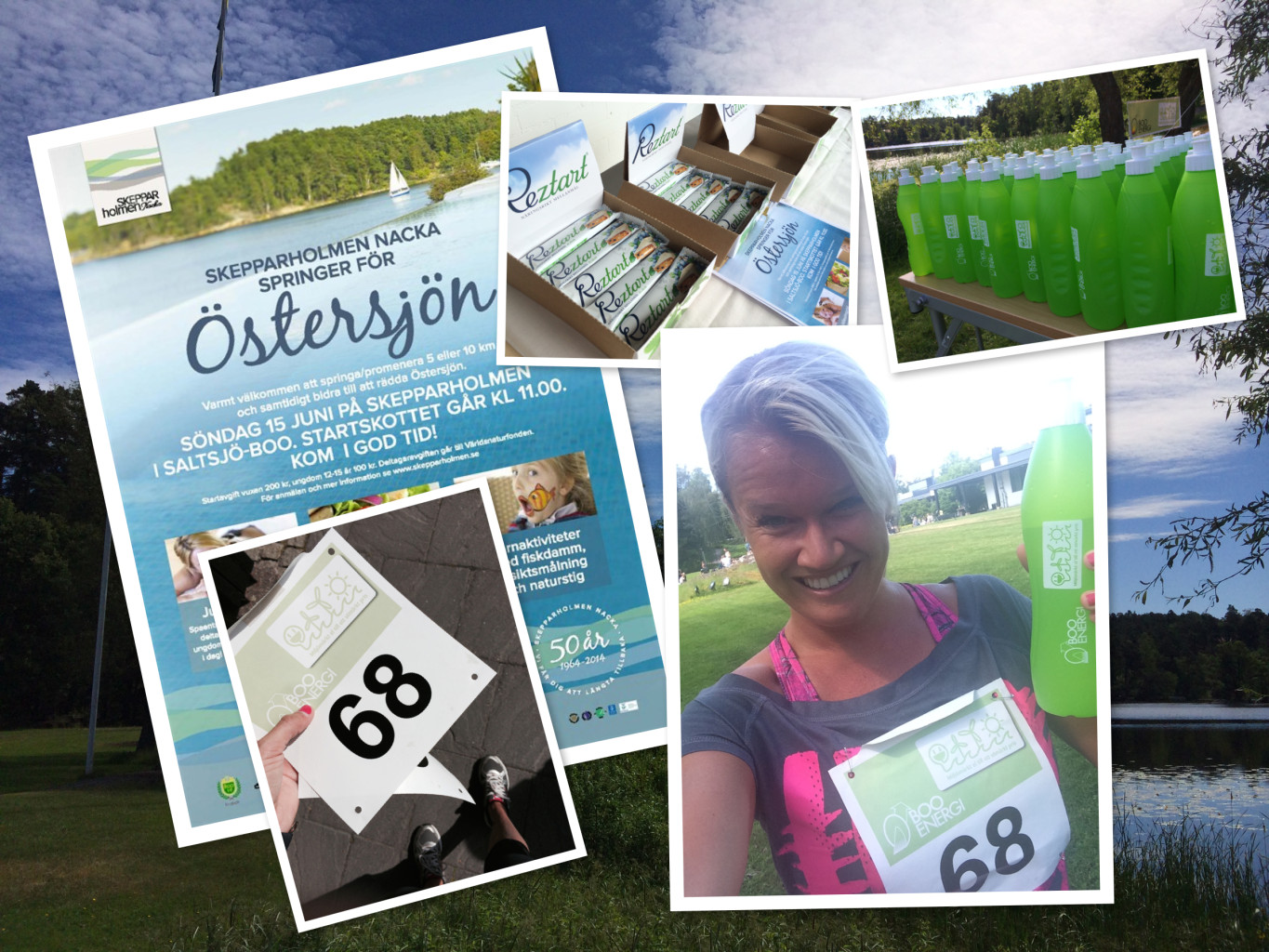 skepparholmen springer tess