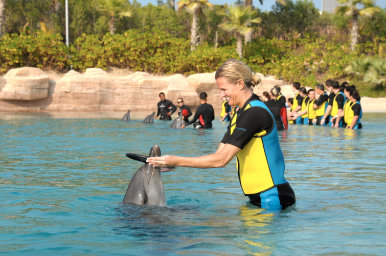 Skärmavbild 2014-11-12 kl. 09.00.37