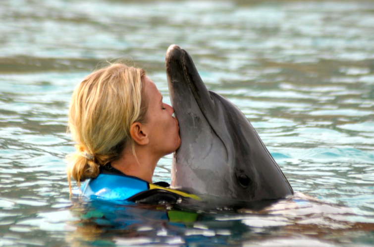 Skärmavbild 2014-11-12 kl. 09.03.43