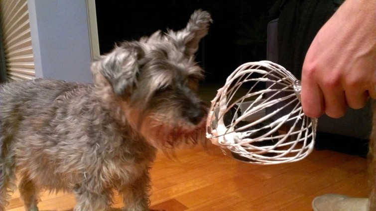 Dantes mustasch var snart vit av maräng. 