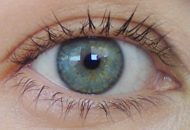 DSC00168_mättad_öga